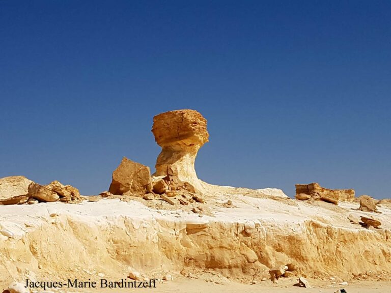 Un Champignon Min Ral En Jordanie Par Jacques Marie Bardintzeff