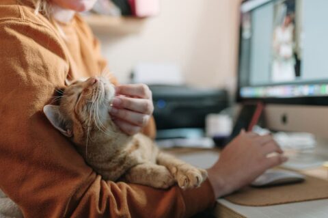 chats