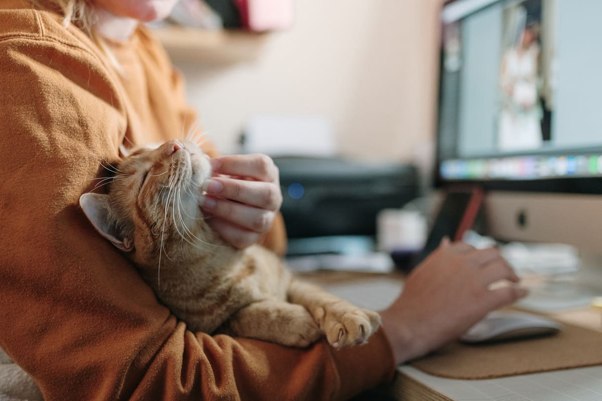 chats