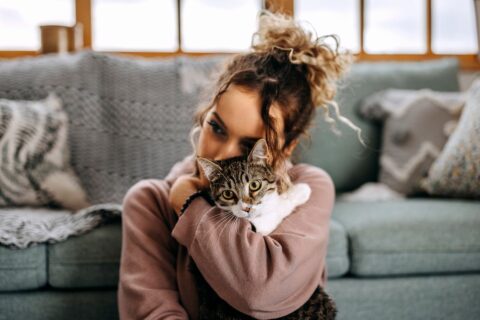 mémoire du chat