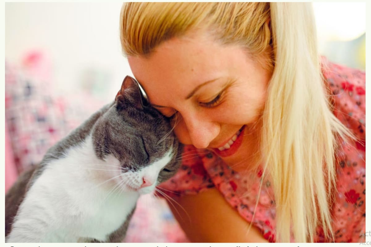 chat