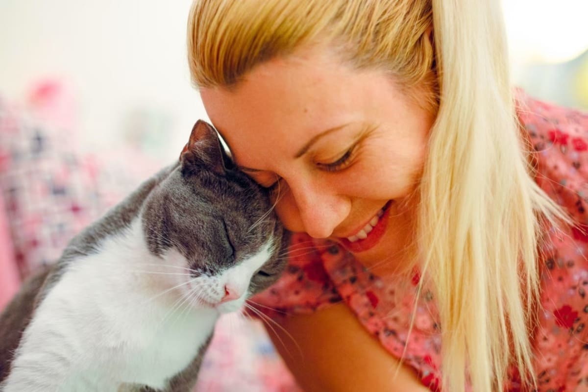 chat-communication-humain