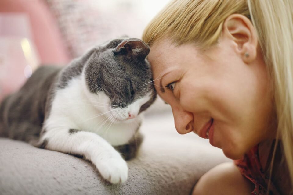 chat