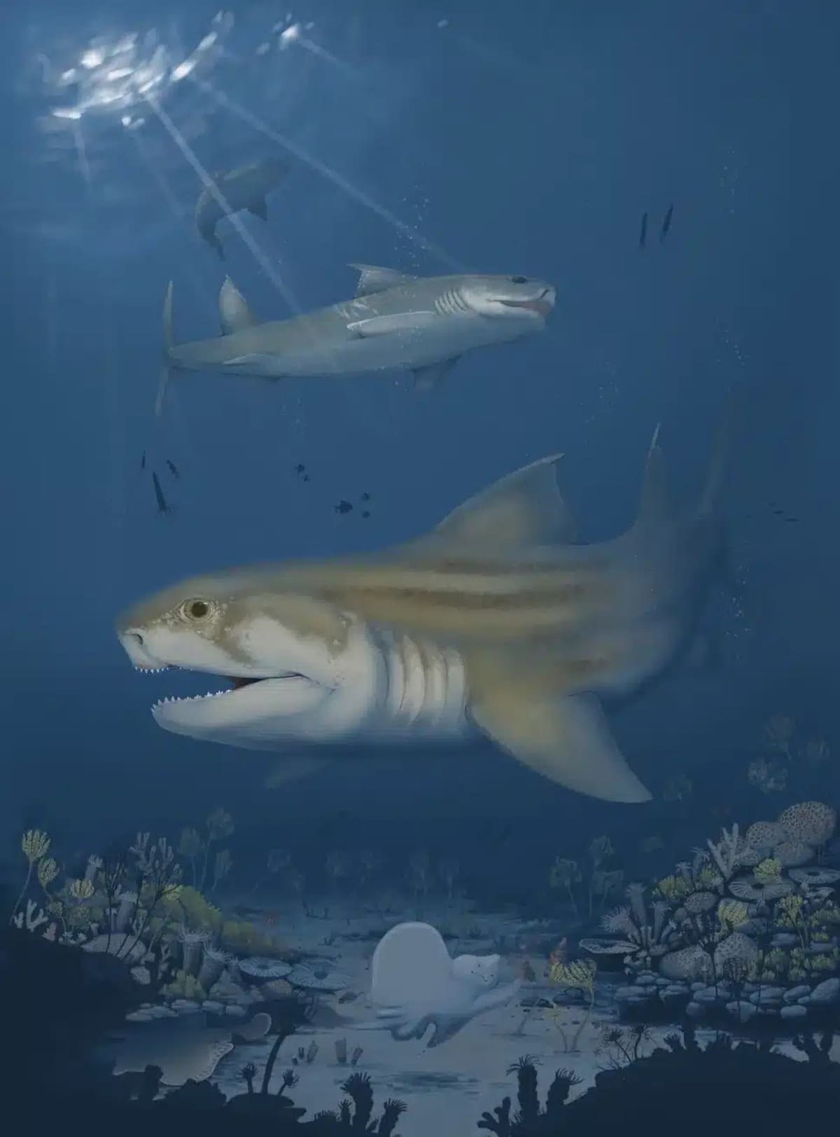 requins-fossiles-grottes-terrestres-