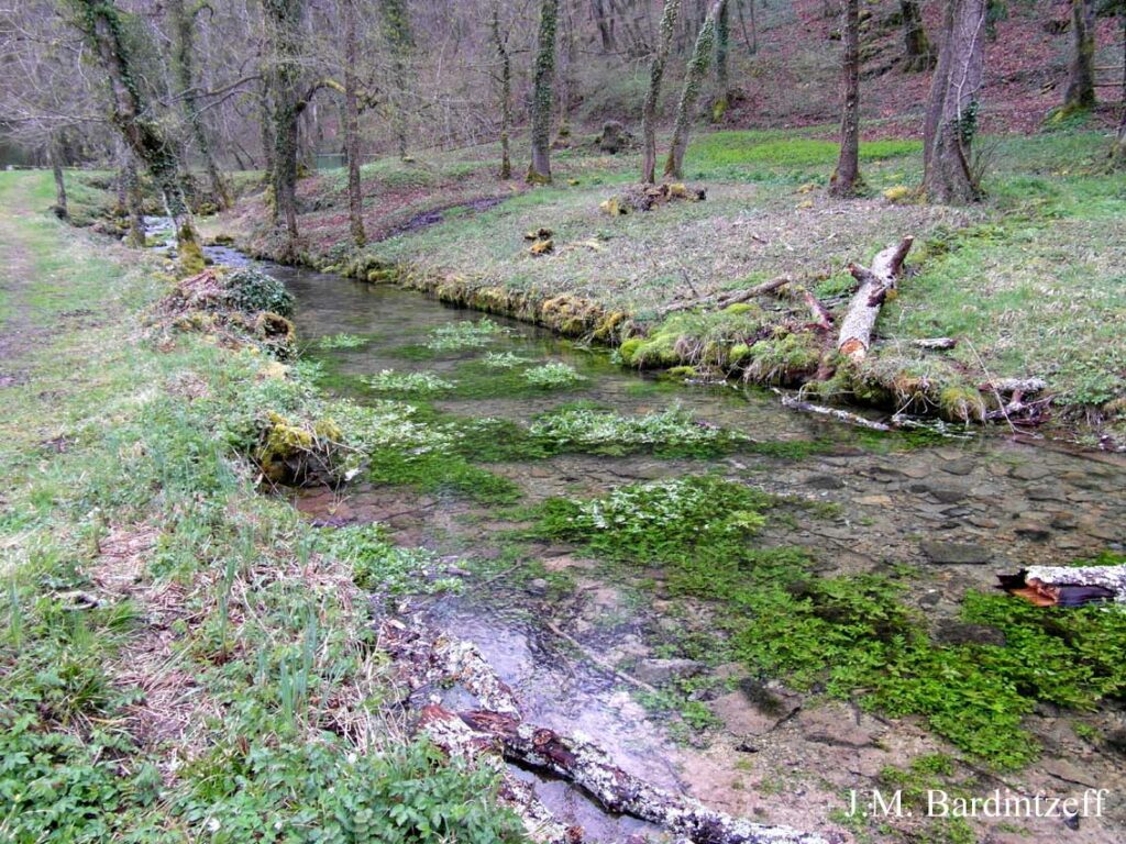 La source de l’Ouche, Côted’Or, par JacquesMarie Bardintzeff — free download