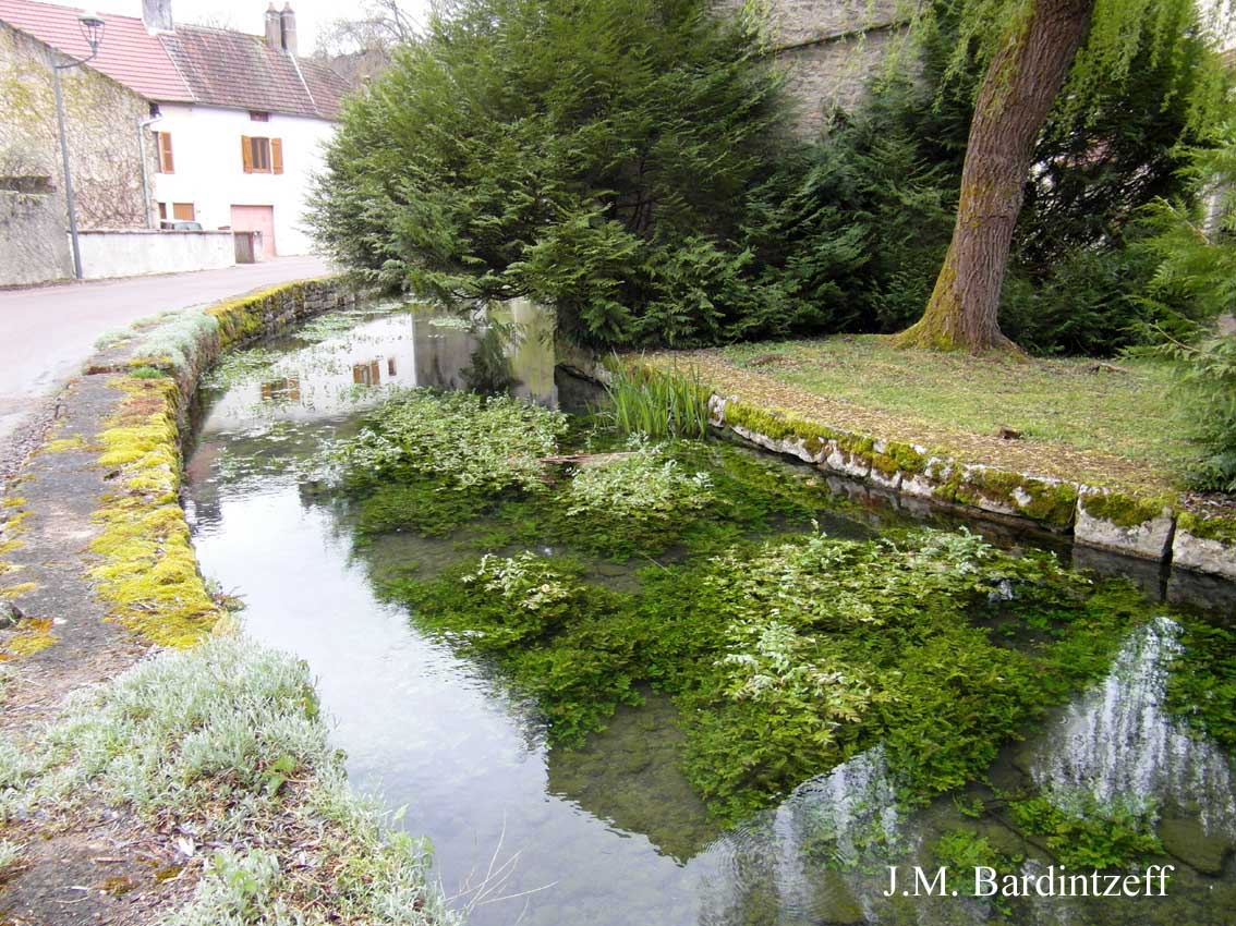 La source de l’Ouche, Côted’Or, par JacquesMarie Bardintzeff — free download