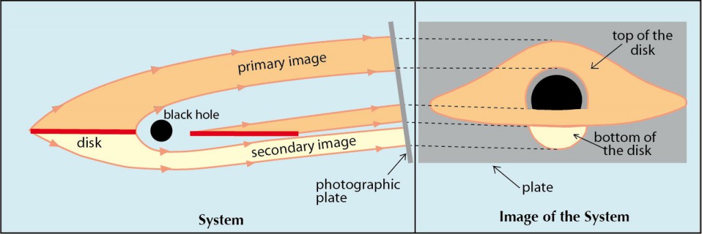 Optical distortions near a black hole. We imagine a black hole surrounded by a bright disc. The system is observed from a great distance at an angle of 10° with respect to the plane of the disc. The light rays are received by a photographic plate. Because of the curvature of space-time in the neighbourhood of the black hole, the image of the system is very different from the ellipses which would be observed if an ordinary star replaced the black hole. The light emitted from the upper side of the disc forms a direct image and is considerably distorted so that it is completely visible. The lower side of the disc is also visible as an indirect image caused by highly curved light rays.