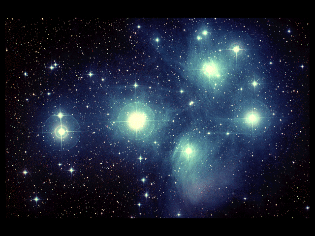 Young Stars. The Pleiades in Taurus have always been a source of fascination. They consist of a cluster of stars about 400 light-years away, six of which are clearly visible to the naked eye. Through a telescope it is possible to make out up to 1,000 stars, arranged in what astronomers call an open cluster. The Pleiades are a young cluster: a mere 60 million years have elapsed since the condensation of the nebula which gave birth to them - not even time for them to move apart. The nebulosities surrounding these young stars are the remains of the cloud of gas from which they emerged. During the next few million years of their life they will continue to contract, gradually burning off their gaseous afterbirth. Open cluster of the Pleiades, © D. Malin