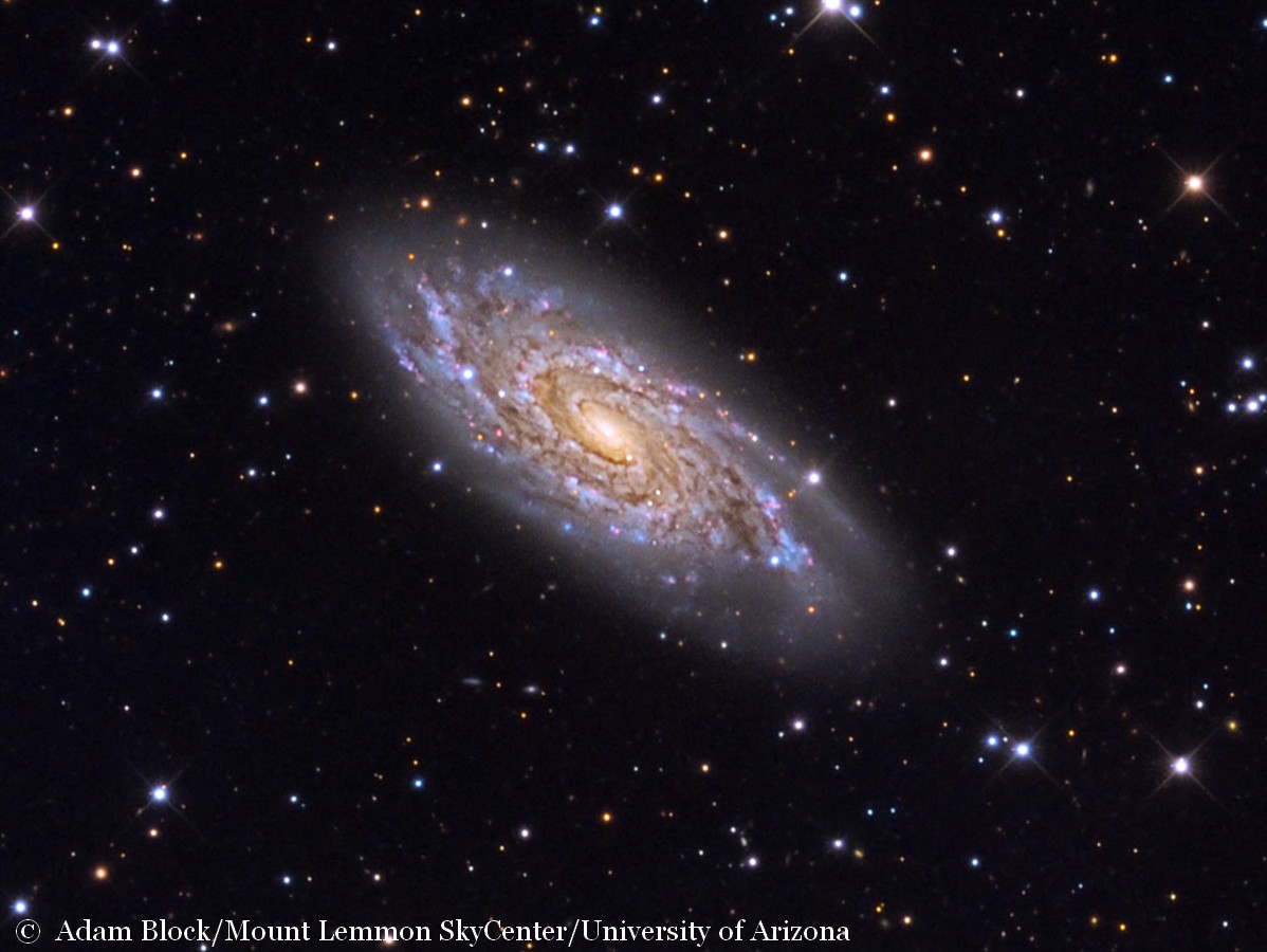 Gros plan sur la majestueuse galaxie spirale NGC 6118