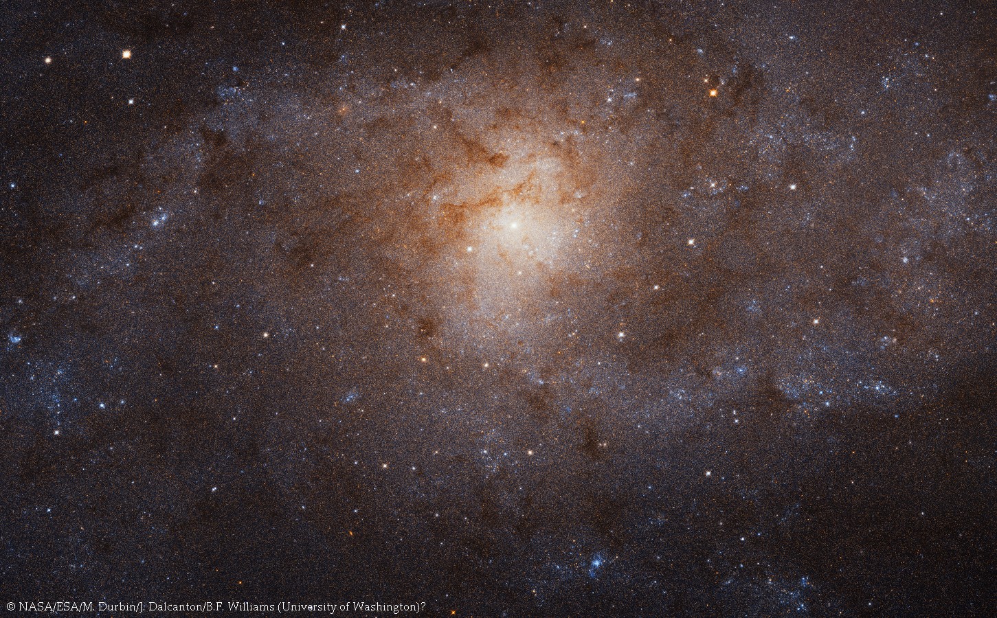 La galaxie du Triangle (Messier 33) en haute résolution