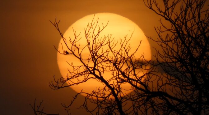 Le Soleil filtré par le nuage de sable venu du Sahara