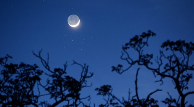 Quand la Lune croise l’amas des Pléiades
