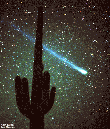 La comète photographiée durant la nuit du 27 Mars 1996 en depuis l'Arizona, USA, avec un cactus en avant-plan. L'Etoile Polaire est l'astre le plus btillant que l'on voit juste en haut à droite de la tête de la comète.