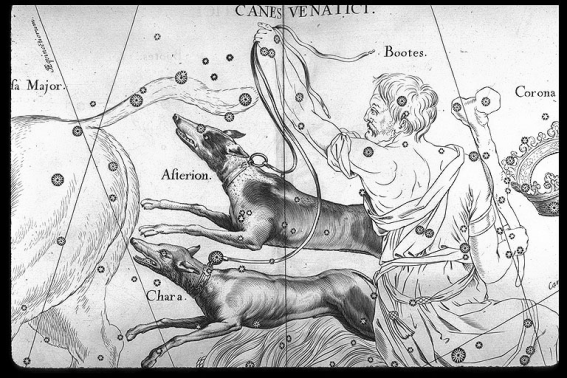 La constellation des Chiens de Chasse dans l'Uranograpie (atlas céleste) que Johannes Hevelius a publié en 1690.
