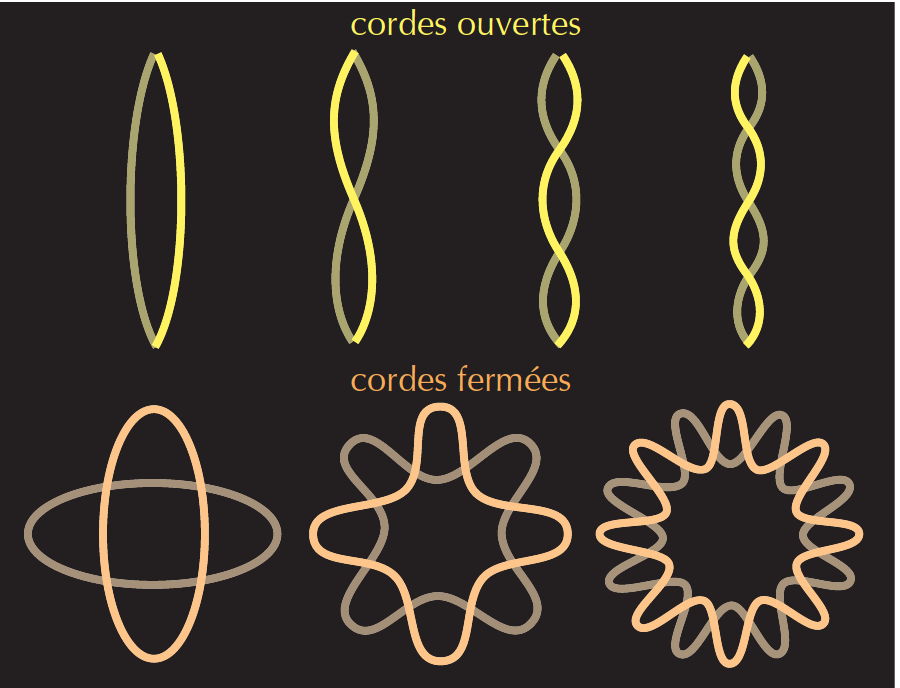 Les modes vibratoires de cordes ouvertes et fermées, montrés ici en deux dimensions, correspondent aux diverses particules élémentaires.