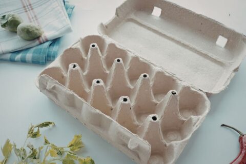 Boîtes d’œufs vides