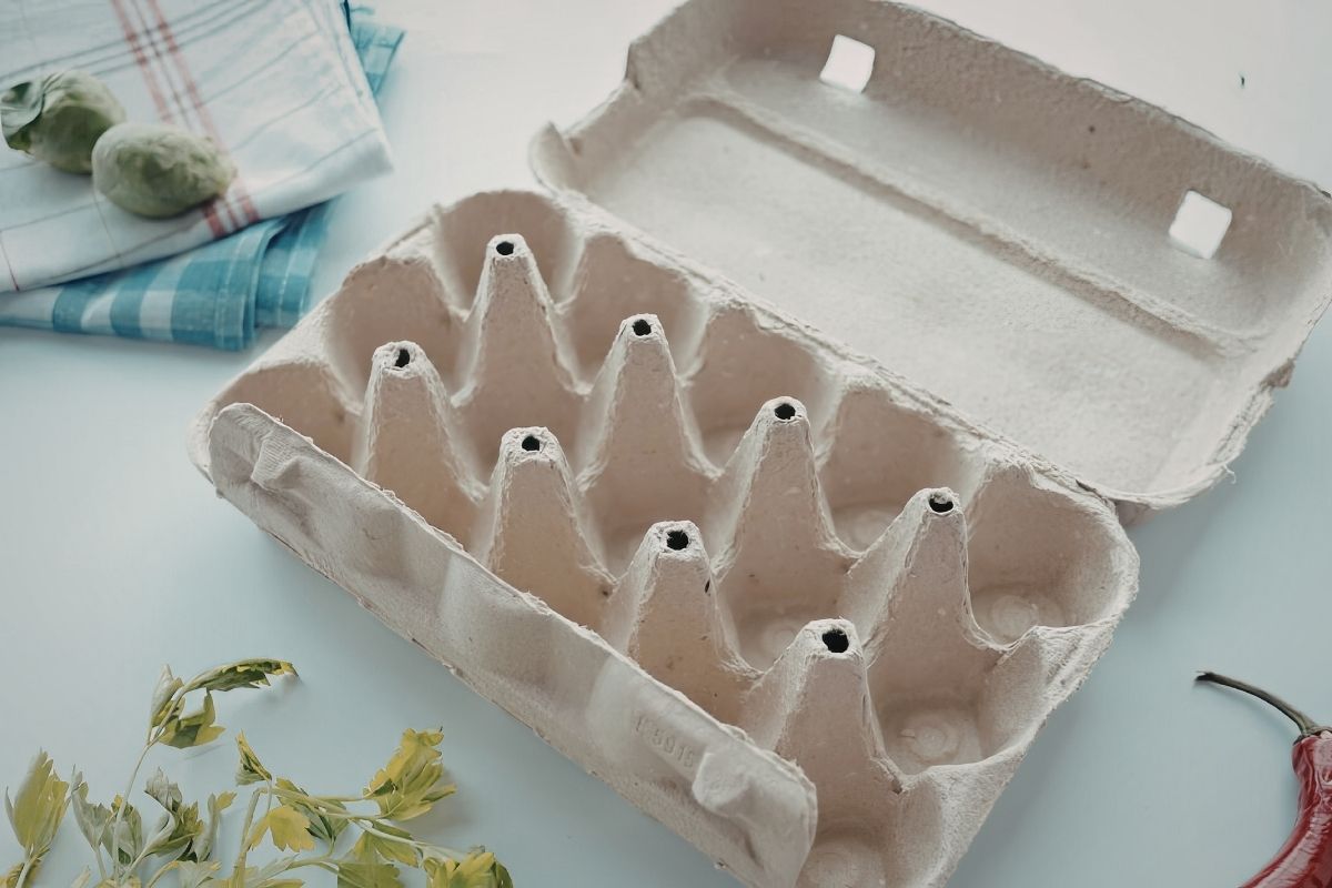 Boîtes d’œufs vides