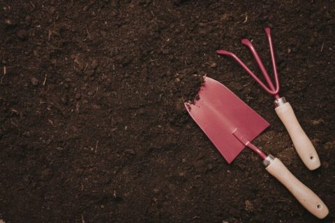 signal discret sous la terre
