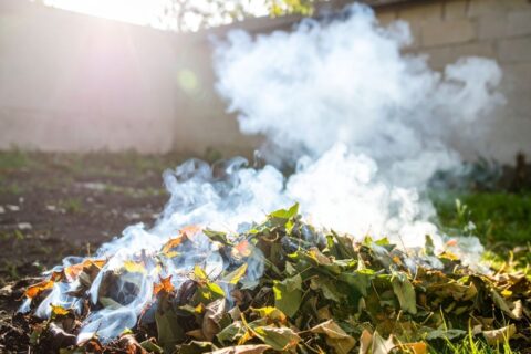 Peut-on vraiment brûler ses déchets verts dans son jardin ?