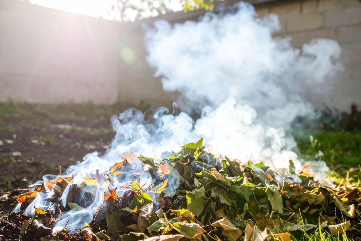 Peut-on vraiment brûler ses déchets verts dans son jardin ?