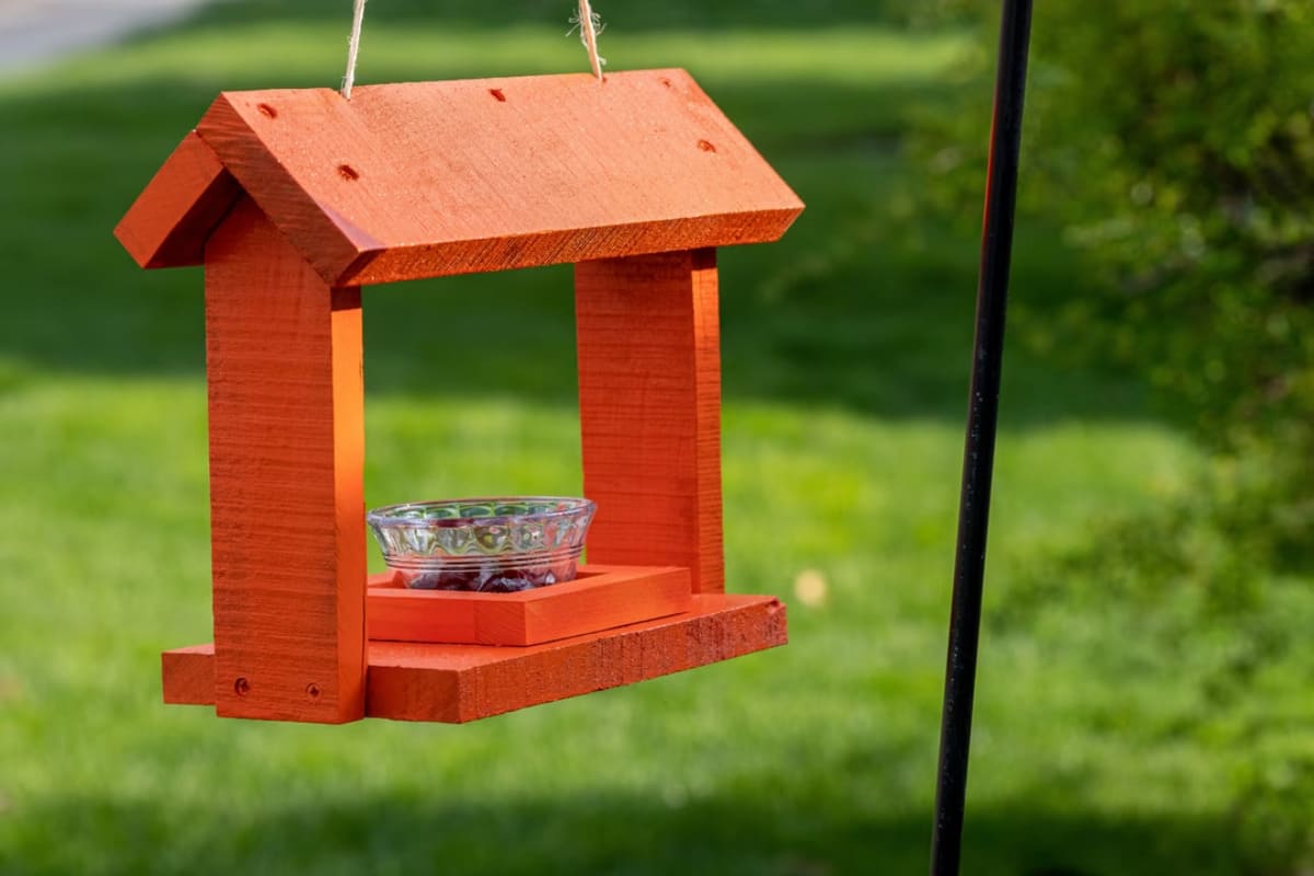 bien-nourrir-oiseaux-hiver-4