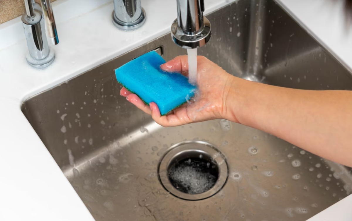 eponge-quand-changer-3