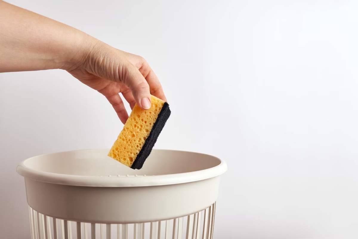 eponge-quand-changer-5