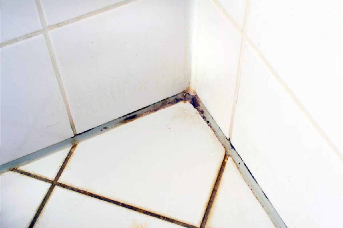 joint-salle-de-bains-hygiene