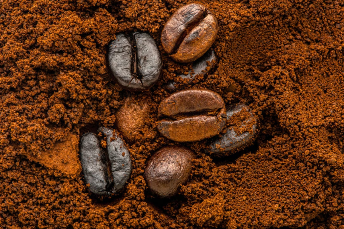 marc-cafe-isolant-batiment-maison