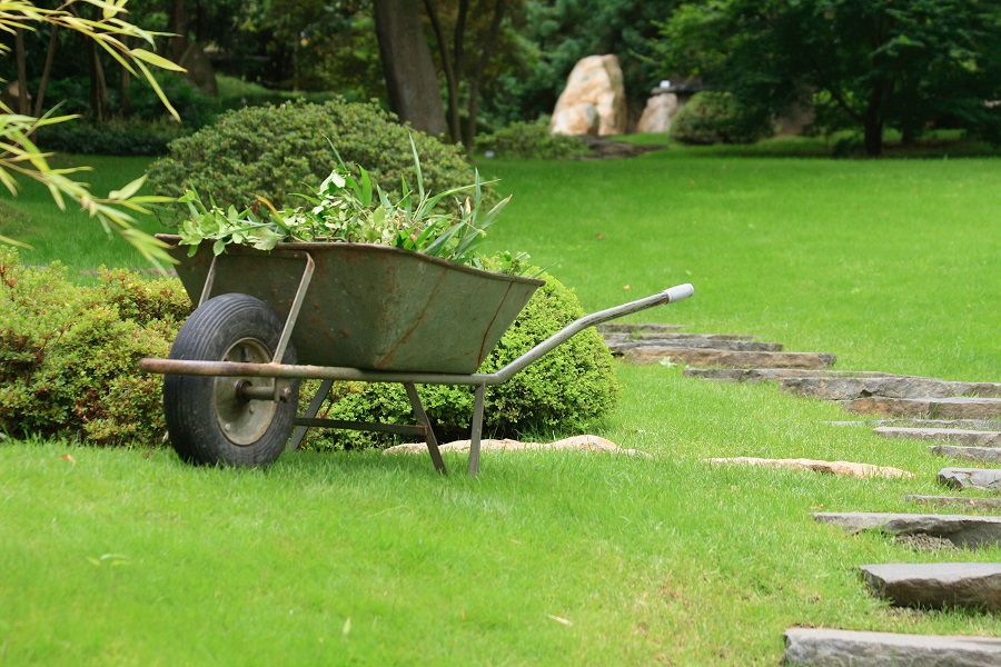 ramasser-dechets-vegetaux-jardin
