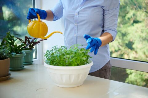 iStock-1417848604