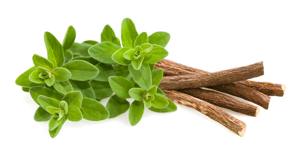 iStock-2264453013
