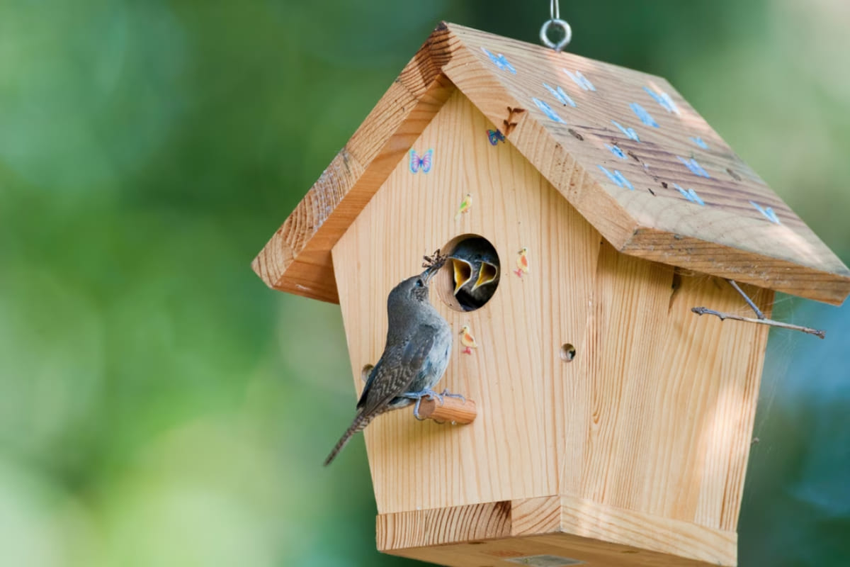jardin-oiseaux-nichoir
