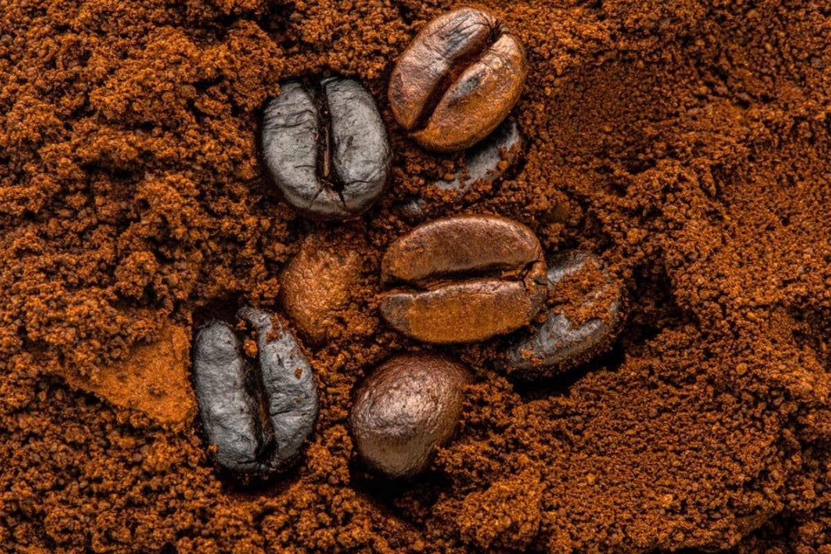 marc-cafe-isolant-batiment-maison