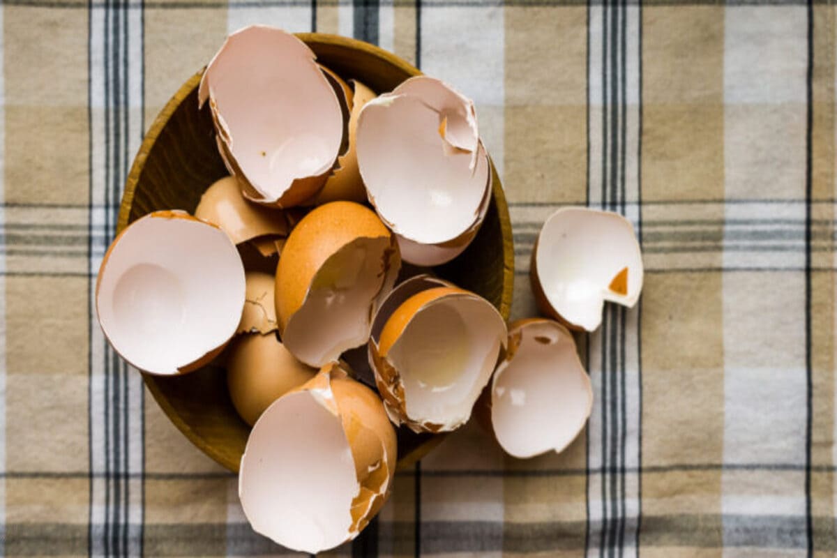 shutterstock_1929989021-729x410