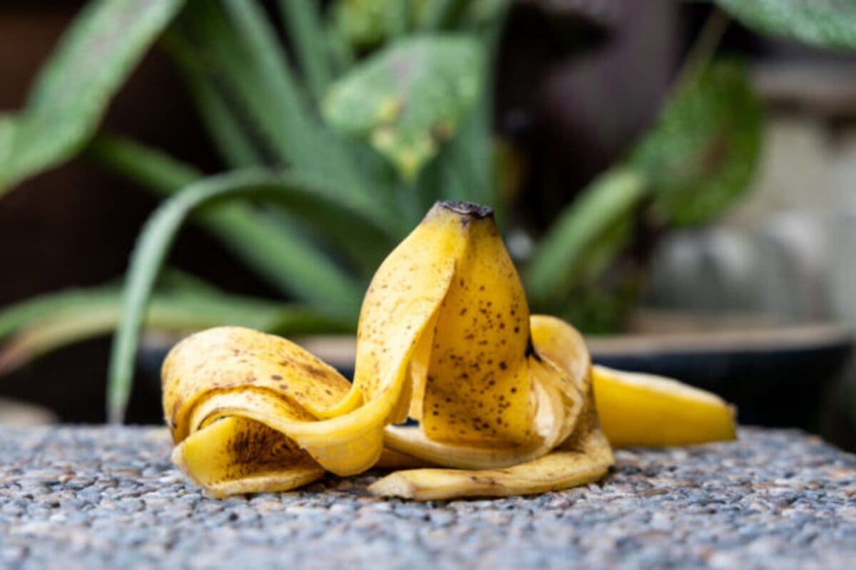 shutterstock_2004741083-615x410