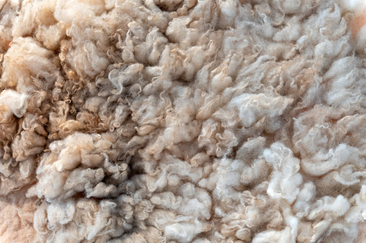 engrais naturel gratuit
