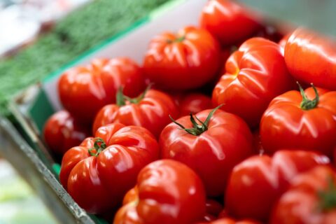 De belles tomates avec moins d’eau