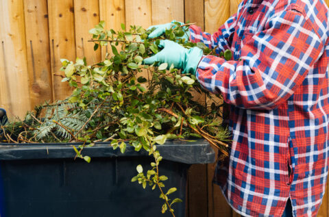 Déchets de jardin