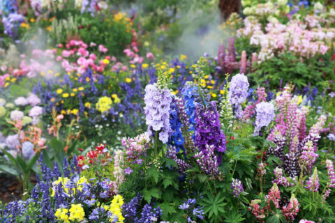 Les erreurs de jardinage à éviter