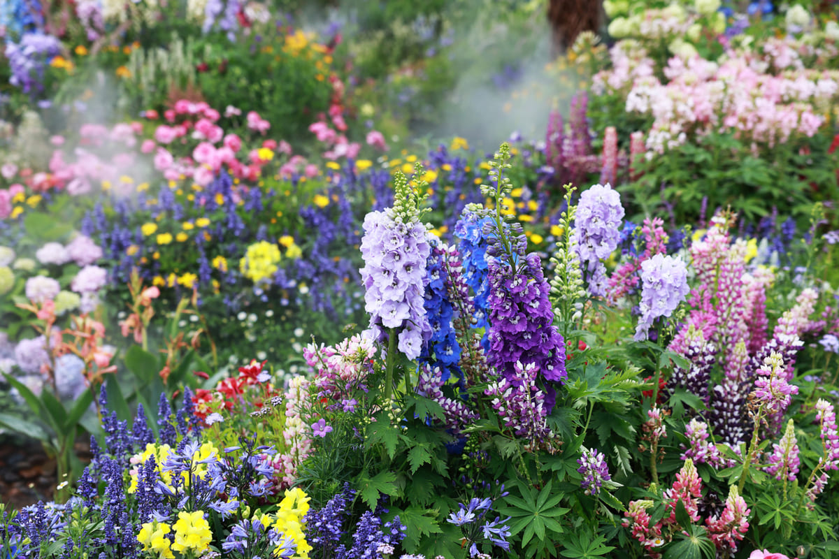 Les erreurs de jardinage à éviter