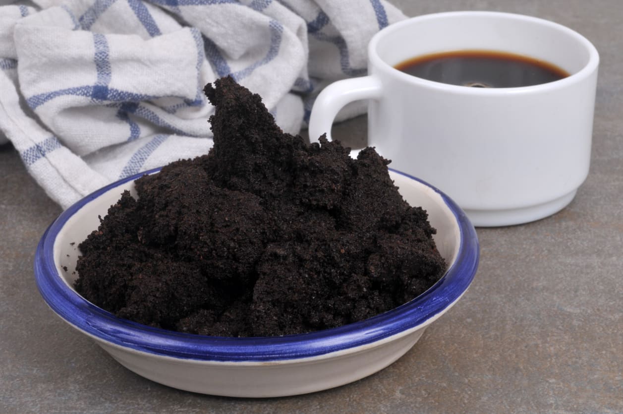 résidus de marc de café