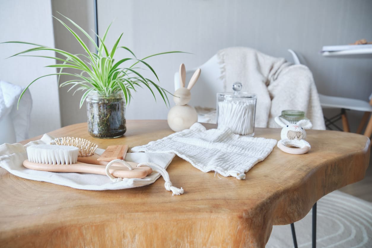 Ces plantes d’intérieur aideraient à purifier l’air
