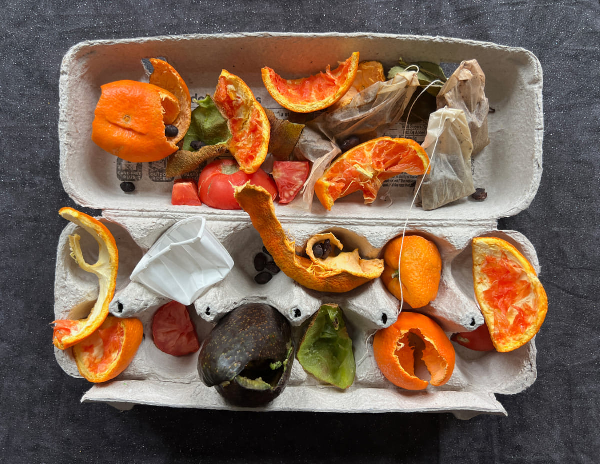 Boîtes d’œufs au compost