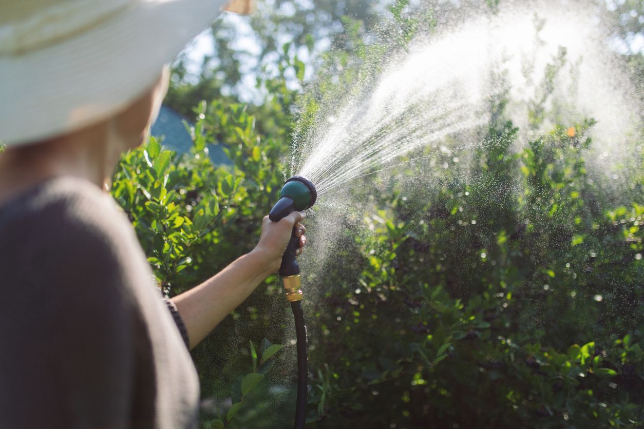Le bon moment et la bonne méthode d’arrosage pendant la canicule.