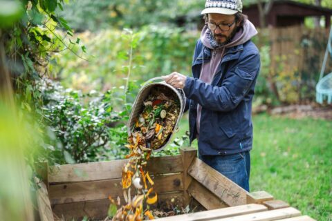 Compost : l’erreur avec les produits laitiers