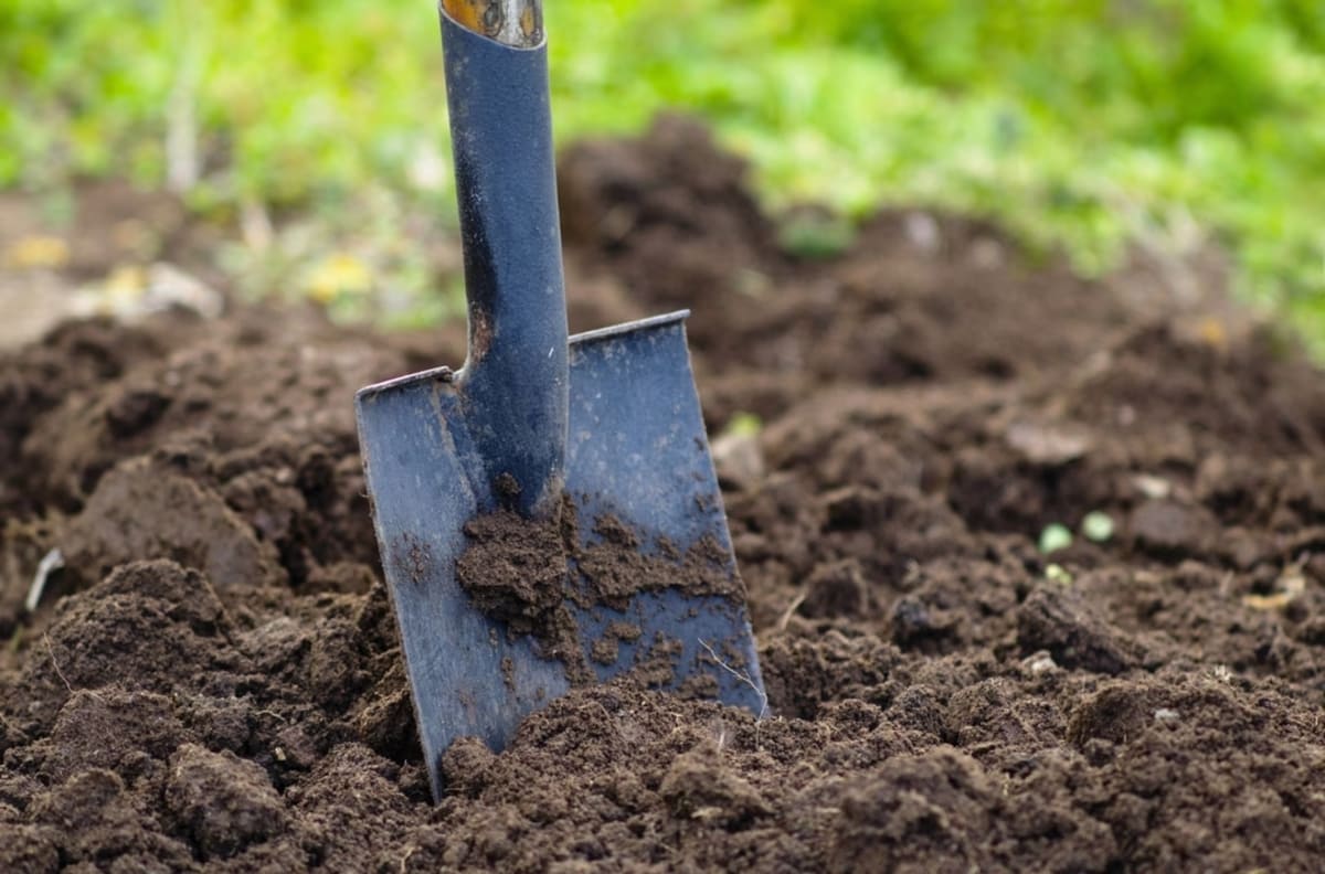 Bien préparer le sol du potager