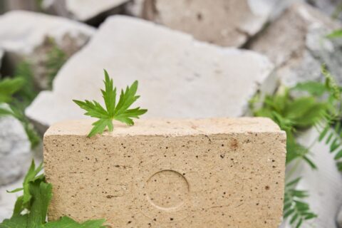Ce matériau 15 fois plus isolant que le béton pourrait transformer nos maisons