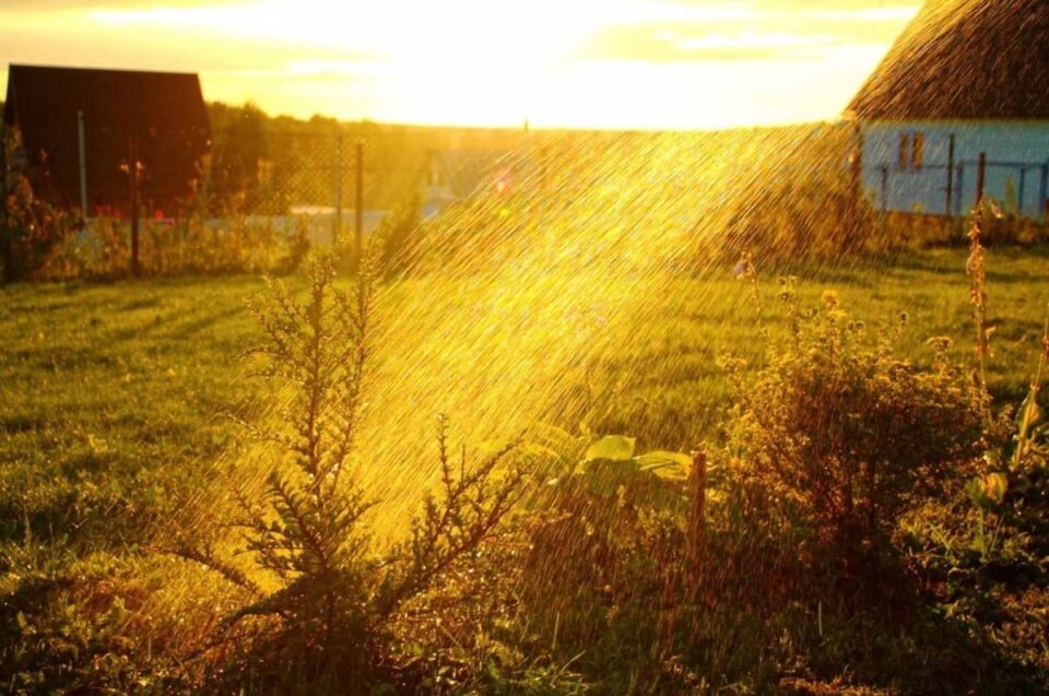 arroser le soir