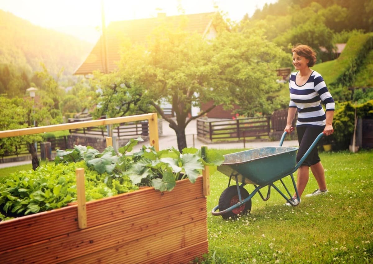 jardin-changement-climatique-3